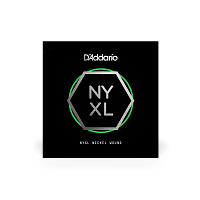 D`ADDARIO NYNW028